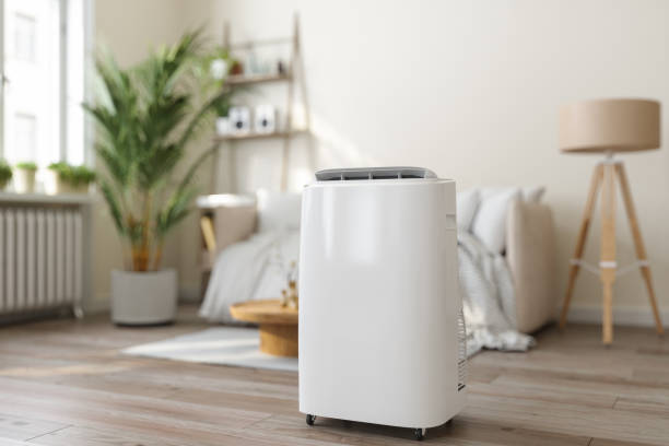 Best VRF (Variable Refrigerant Flow) Systems in Fosston, MN